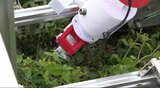 「パクチー」と「雑草」見分けられる…?農業用ロボットを企業と大学などが共同開発中!そのスゴイ「実力」 | SBC NEWS | 長野のニュース | SBC信越放送