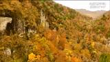 垂直な岩の壁が連なる「磐司岩」紅葉見ごろ【紅葉・カメラマンスケッチ】 | 宮城のニュース│tbc NEWS│tbc東北放送