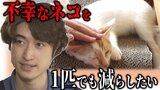 「1人1人が責任をもって家族として受け入れてほしい」“不幸なネコ”を1匹でも減らすために… 『保護猫』のために22歳の若き経営者が立ち上げたカフェ 青森県黒石市「猫ハウス ごろにゃん」 | 青森のニュース│ATV NEWS│青森テレビ