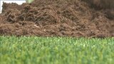 人工芝に使う充填剤を天然素材に 岡山市の企業が独自開発 人にも環境にも優しい人工芝の普及目指して【岡山】|TBS NEWS DIG