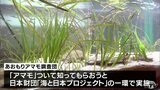 生息面積が日本一の「アマモ」 子どもたちがその役割を学ぶ 青森県むつ市|TBS NEWS DIG