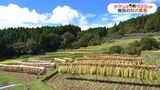 かごしま南北600キロ　昔ながらの棚田の風景|TBS NEWS DIG