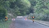 郡山市でクマに襲われ男性けが 中通り・会津に「特別注意報」福島 | 福島のニュース│TUF