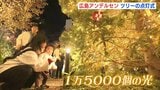 1万5000個の優しい光が灯る　広島アンデルセンでクリスマスツリー点灯|TBS NEWS DIG