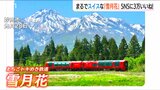 「まるでスイス?」新緑と残雪の妙高山をバックに真っ赤な雪月花 “絶景写真”に多くの反響 実際に同じポジションで撮ってみると…|TBS NEWS DIG