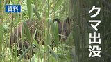 市役所から200メートル 1頭のクマを目撃 被害の報告なし 岩手・陸前高田市|TBS NEWS DIG