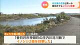 庄内川を渡った!? 春日井市でイノシシ2頭の目撃情報 名古屋と同じ個体か 周辺の幼稚園や小学校で警戒 愛知 | 名古屋・愛知・岐阜・三重のニュース【CBC news】 | CBC web