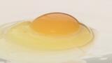 「タマゴをもらうからにはいいお返しを」魚、コメ、野菜…栄養たっぷりのエサで育てたニワトリが生むTKGは「甘い香り」福島 | 福島のニュース│TUF