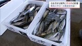原油高騰　魚を運ぶ「発泡スチロール」の製造コストを直撃　漁業にも影響　地域産業にも暗い影|TBS NEWS DIG