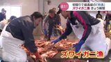 ズワイガニ漁解禁!富山湾でもオスの最高級品「特選」でました!競り落としたのは地元割烹 富山・新湊漁港|TBS NEWS DIG
