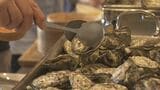 ｢スマート養殖｣の牡蠣  2028年度の商品化目指す…試食会には“未活用”魚のカレーやスープも 愛知・蒲郡市|TBS NEWS DIG