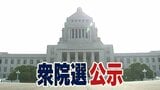 真冬の決戦スタート　衆院選公示　山口県3選挙区に10人が立候補|TBS NEWS DIG