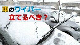 大雪　雪が降ったら車のワイパーは立てる？立てない？故障につながるやってはいけないこととは　車の安全で効果的な除雪方法も紹介　JAF専門家解説|TBS NEWS DIG