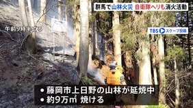 群馬・藤岡市で山林火災 延焼中、自衛隊に災害派遣要請|TBS NEWS DIG
