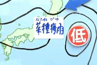 【26日宮城の天気】少し早めに「菜種梅雨（なたねづゆ）」がやってきたか…湿気寒の一日に 南部で弱い雨も　tbc気象台　|　宮城のニュース│tbc NEWS│tbc東北放送