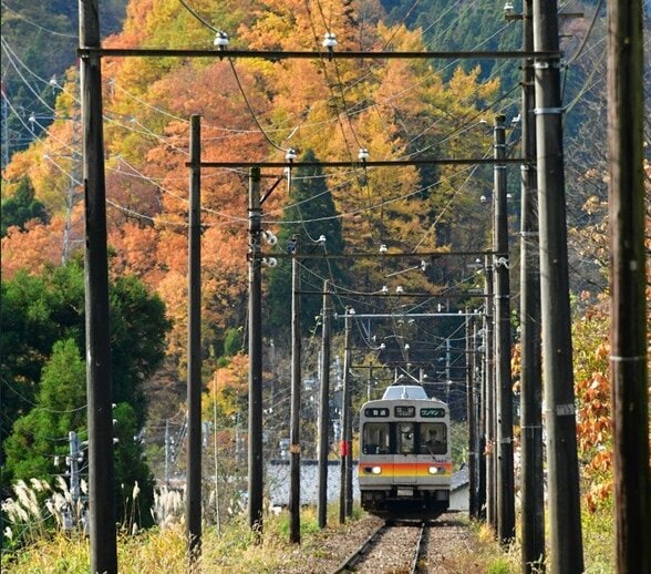 落ち葉で電車が登れない？地鉄立山線「空転」急勾配登れず最大20分の遅れ　紅葉シーズンの難敵「黒い被膜」NY記事効果で2割増の中、年1回程の珍事　|　富山のニュース｜天気・防災｜チューリップテレビ