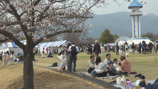 市の花にちなんだイベントにぎわう 山梨県甲斐市で「サクラまつり」|TBS NEWS DIG