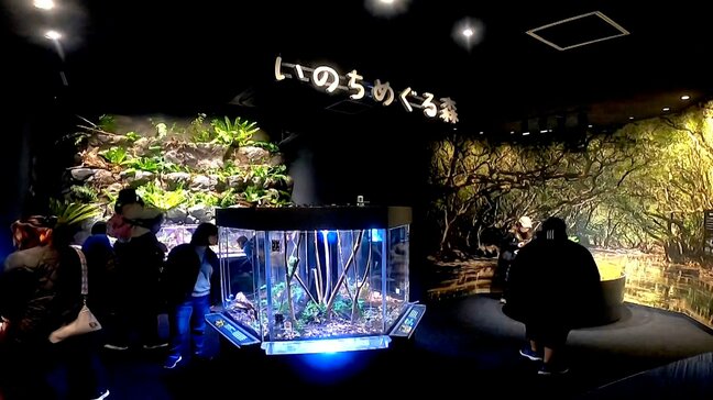 「ちょっと興奮しました」マリンワールド海の中道に新展示コーナー　奄美大島の希少な生物など30種類　福岡|TBS NEWS DIG