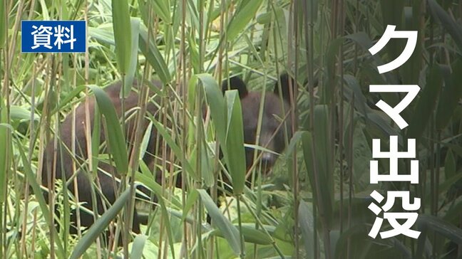 登山中の男性がクマに襲われけが　顔や太ももをかまれる　秋田|TBS NEWS DIG