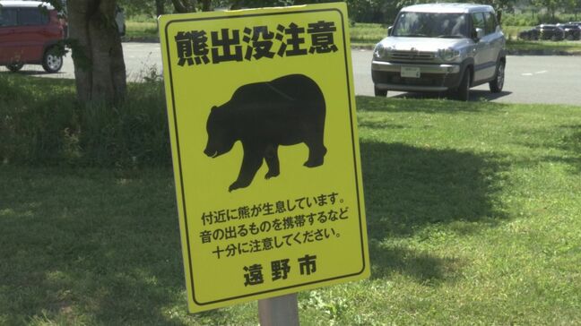 10日に遠野運動公園でクマ出没 市が緊急銃猟で駆除 1m5cm、体重50kgほどのオスの成獣 岩手|TBS NEWS DIG