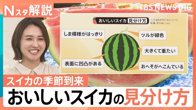 表面に凹凸がある、しま模様がハッキリしている、ツルが緑色…おいしいスイカの選び方【Nスタ解説】|TBS NEWS DIG