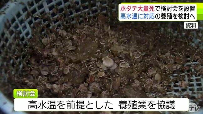 「全湾をあげたホタテガイ産業の再生」高水温を前提とした養殖、別の貝養殖なども検討へ　「産業そのものの存続に関わる重大な局面」迎えた青森県のホタテ　対策検討会を初開催|TBS NEWS DIG