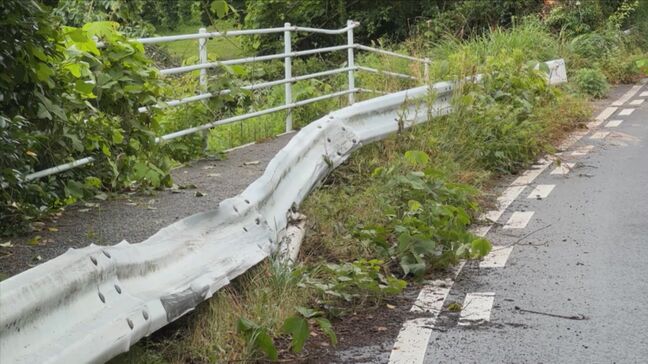 「車が道路脇の木に引っかかっている」　ガードレールに衝突した弾みで道路の外に飛び出したか…軽乗用車運転の高齢女性(81)が死亡|TBS NEWS DIG