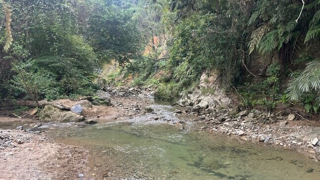 【速報】山岳遭難か　滝の駐車場に車停めた70代男性が戻らず|TBS NEWS DIG