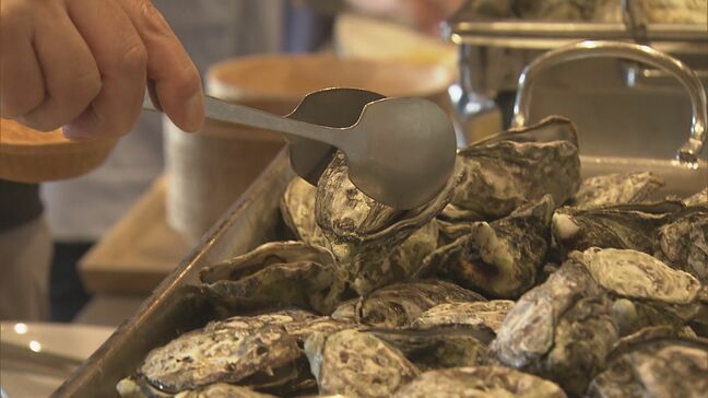 「スマート養殖」の牡蠣 2028年度の商品化目指す…試食会には“未活用”魚のカレーやスープも 愛知・蒲郡市|TBS NEWS DIG