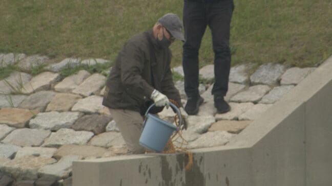 「基地の中に汚染源があると容易に想像」　アメリカ軍基地近くでＰＦＡＳ調査　市民団体が４回目の採水　山口・岩国|TBS NEWS DIG