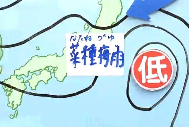 【26日宮城の天気】少し早めに「菜種梅雨（なたねづゆ）」がやってきたか…湿気寒の一日に 南部で弱い雨も　tbc気象台　|　宮城のニュース│tbc NEWS│tbc東北放送