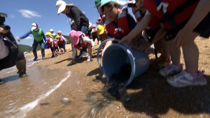 「ヌルヌルした」「しっぽに叩かれた」渋川海水浴場で園児がヒラメの稚魚3000匹を放流【岡山・玉野市】　|　岡山・香川のニュース | 天気 | RSK山陽放送