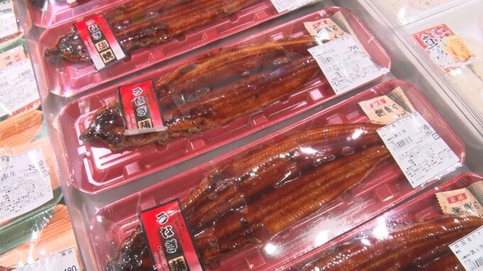 「ウナギ」今年は安い？…大サイズ250グラムが税抜き798円！「昨年と比較して相場が1割、2割下がっています」今年は稚魚が豊漁…去年のほぼ半額に　島根・松江市|TBS NEWS DIG
