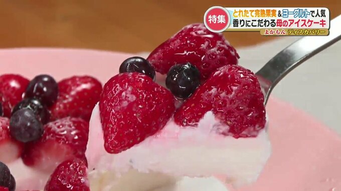 「母として何かしたい」愛情溢れたアイス店 とれたて完熟果実＆ヨーグルトで大人気の絶品アイスケーキ　|　熊本のニュース｜RKK NEWS｜RKK熊本放送