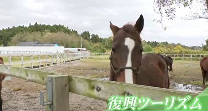 「復興ツーリズム」で能登復興を 観光振興と防災学習の“両立”目指し、大学教授らが珠洲を訪問|TBS NEWS DIG