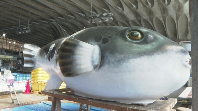 「山口県のフグはおいしいよ」市場に設置のフグのオブジェ　学生らがリニューアル　|　山口のニュース・天気・防災｜tys NEWS｜ｔｙｓテレビ山口