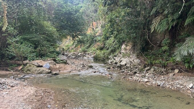 【速報】山岳遭難か　滝の駐車場に車停めた70代男性が戻らず　|　沖縄のニュース｜RBC 琉球放送