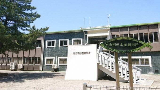 海洋調査の潜水夫死亡事故　内規では「2人で潜水」も1人で作業…県は「潜水夫の都合で今回のような調査もあった」「今後内規見直しを含め再発防止に努める」（山形）　|　山形のニュース│TUYテレビユー山形