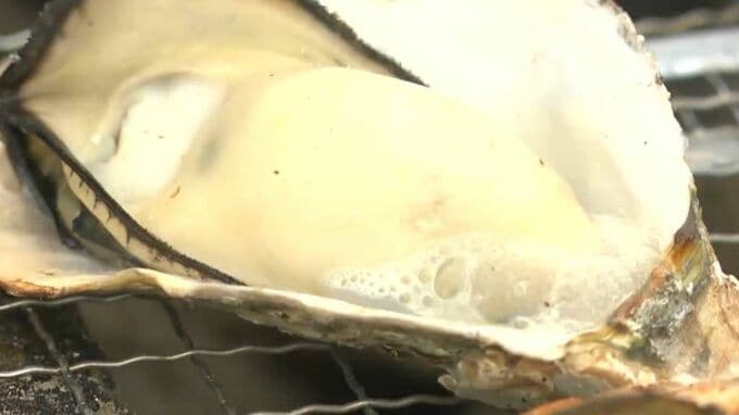 日生のカキが最盛期　初期は大量死も小さかったカキが育ち「去年より小粒だがおいしい」名物かきめしも復活　【岡山】　|　岡山・香川のニュース | 天気 | RSK山陽放送