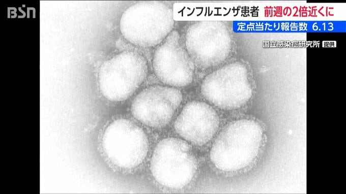 新潟県内のインフル前週の2倍近くに 五泉市の医薬品製造会社 デンカがワクチンを初出荷|TBS NEWS DIG