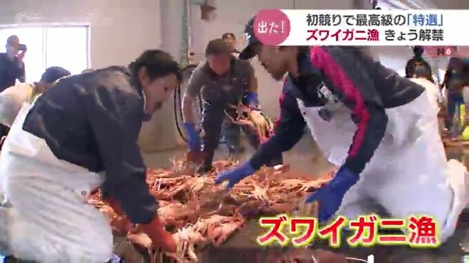 ズワイガニ漁解禁！富山湾でもオスの最高級品「特選」でました！競り落としたのは地元割烹　富山・新湊漁港|TBS NEWS DIG