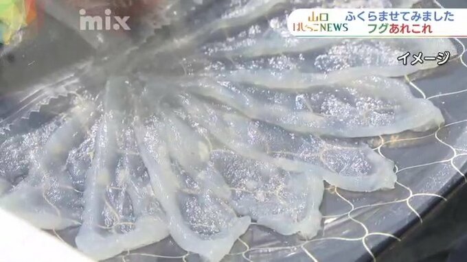 秀吉が禁止→伊藤博文が解禁？漁獲高全国7位でも「ふぐ＝山口県」の意外な起源　きっかけは“打ち首覚悟”の女将の判断　|　山口のニュース・天気・防災｜tys NEWS｜ｔｙｓテレビ山口