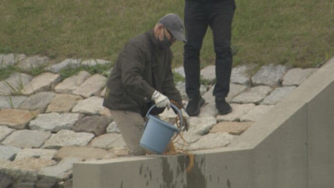 「基地の中に汚染源があると容易に想像」　アメリカ軍基地近くでＰＦＡＳ調査　市民団体が４回目の採水　山口・岩国　|　山口のニュース・天気・防災｜tys NEWS｜ｔｙｓテレビ山口