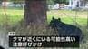 「クマが徘徊している」体長1mのクマが沿岸部の公園や周辺の路上で連続して目撃される　宮城・塩釜市　|　宮城のニュース│tbc NEWS│tbc東北放送