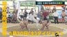 スポーツマンシップで行こう！ 熊本県高校総体2026／5月30日（土）ダイジェスト　|　熊本のニュース｜RKK NEWS｜RKK熊本放送