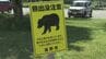 10日、遠野運動公園にクマ出没　市が緊急銃猟で駆除　1m5cm、体重50キロほどのオスの成獣　岩手　|　IBC NEWS | IBC岩手放送