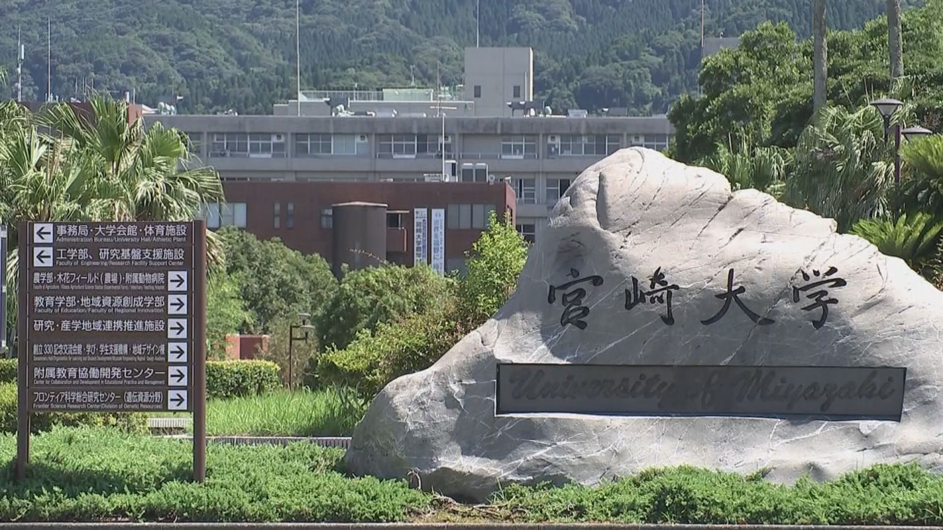 ご購入前にコメント 2001~2006 宮崎大学 立命館大学 予備校関係者からの指摘で発覚 宮崎大学 今年2月の入試で出題ミス 新た