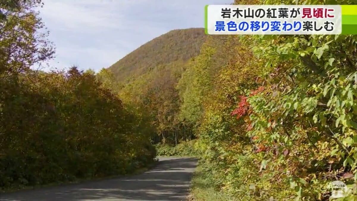 深紅に燃える秋 “津軽富士”岩木山の紅葉も色付き見頃に「“紅葉の絨毯