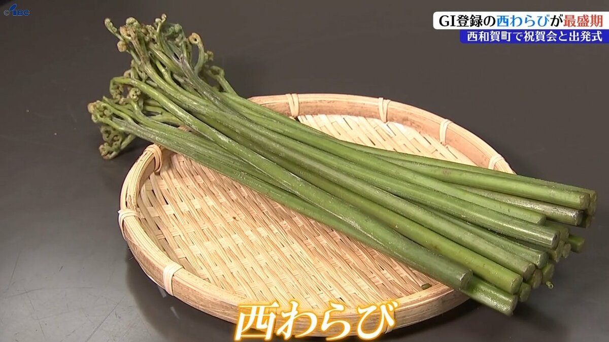 GI認定後初の収穫が最盛期の「西わらび」 太く柔らかくとろっとした