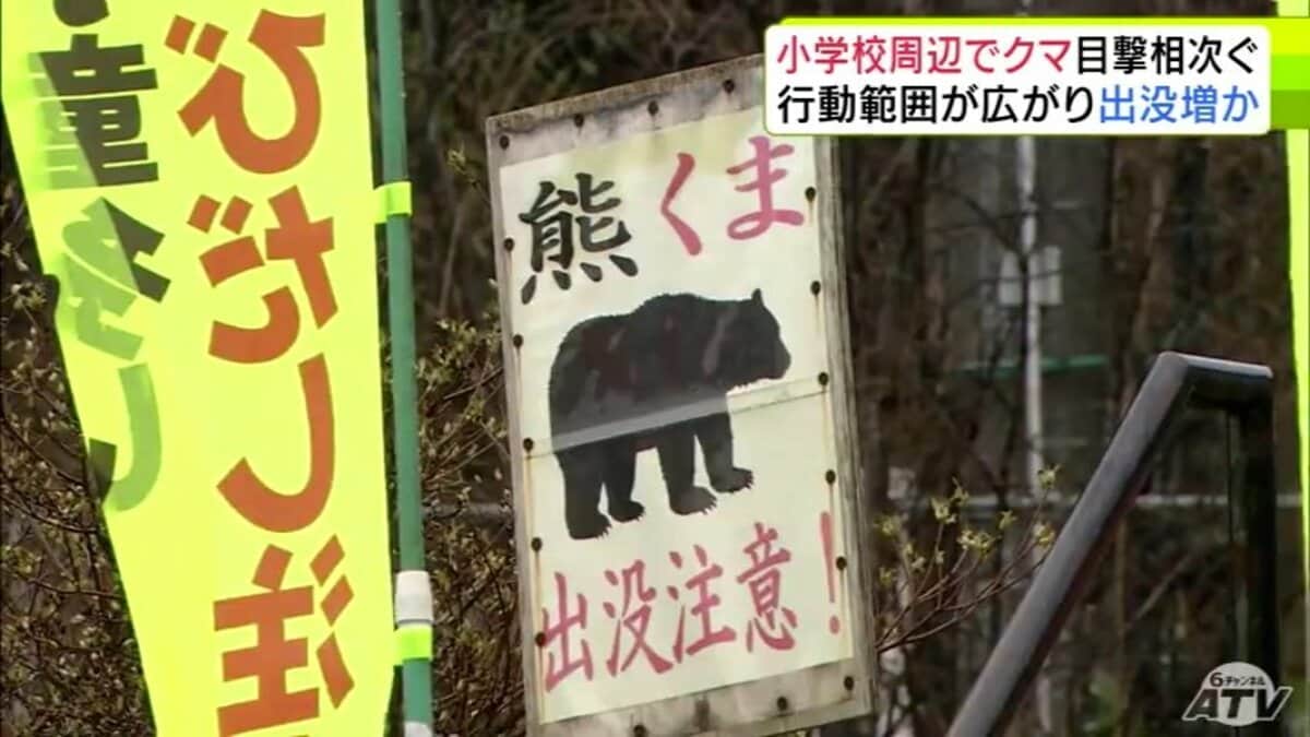 小学校周辺で連日のクマ目撃 「ツキノワグマの出没注意報」が青森県内